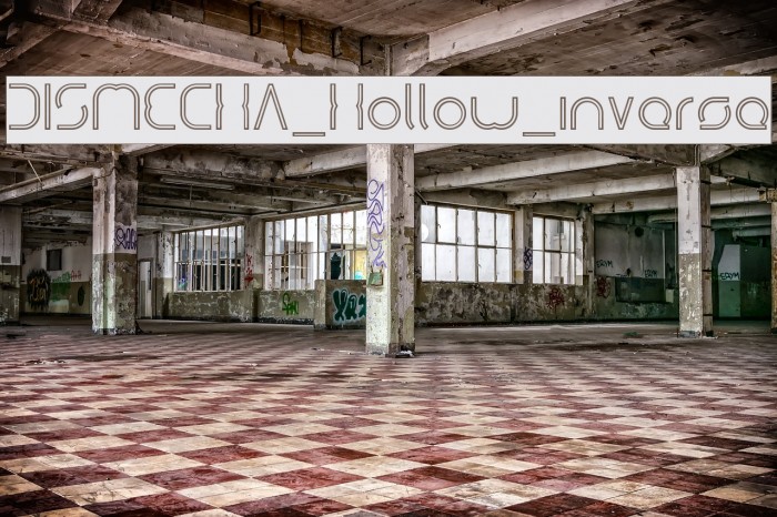 DISMECHA_Hollow_inverse Example 1