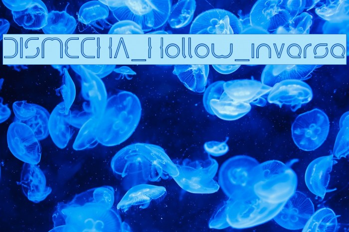 DISMECHA_Hollow_inverse Example 3