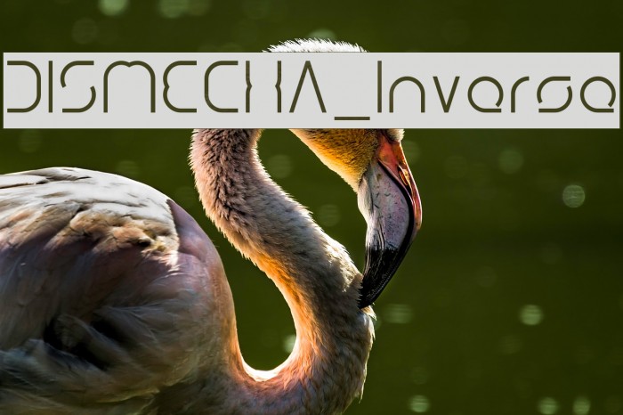 DISMECHA_Inverse Font examples