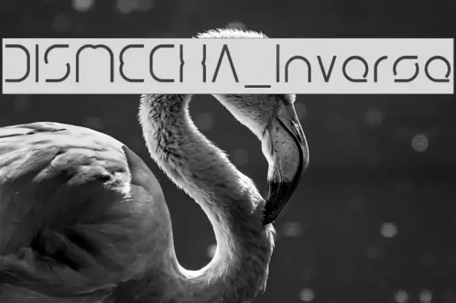 DISMECHA_Inverse Example 1