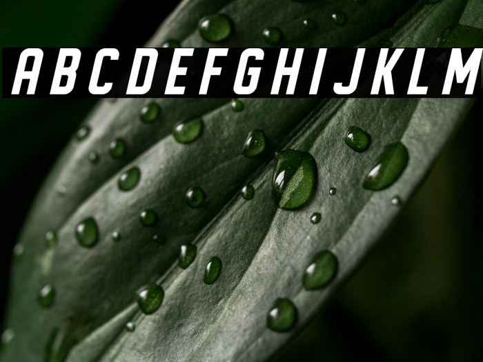 DISPLAYEDOblique Example 1