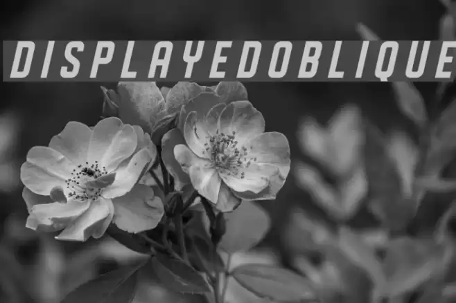 DISPLAYEDOblique Polices examples