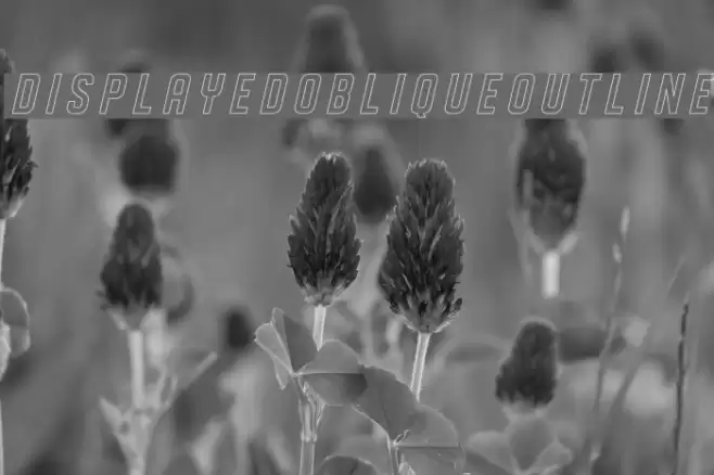 DISPLAYEDObliqueoutline Font examples