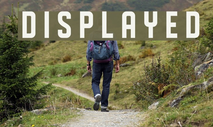 DISPLAYED Font examples