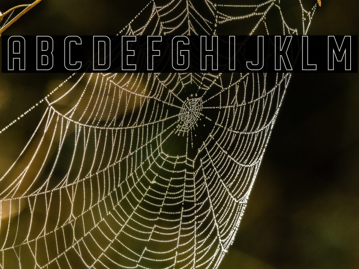 DISPLAYEDoutline Example 3