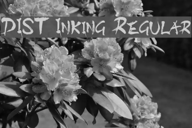DIST Inking Regular Example 1