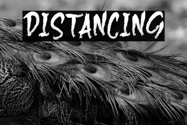 DISTANCING Example 1