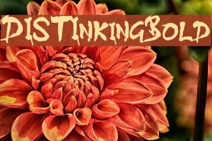 DISTInkingBold Font examples