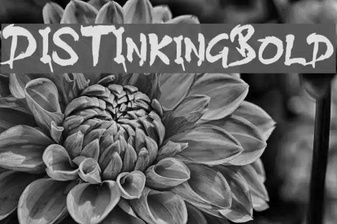 DISTInkingBold Example 3