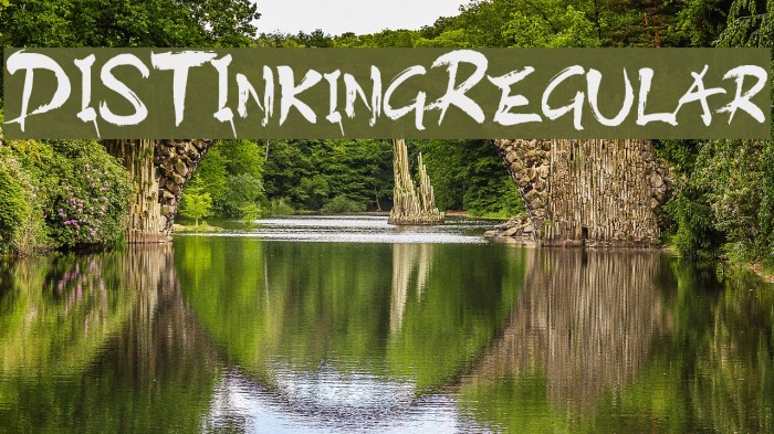 DISTInkingRegular Font examples