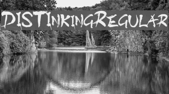 DISTInkingRegular Example 1