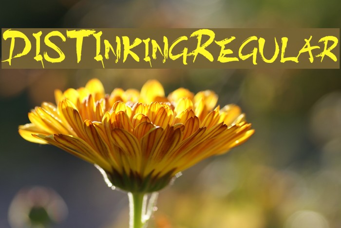 DISTInkingRegular Font examples