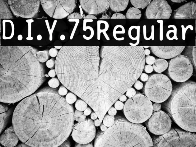 D.I.Y.  75 Regular Example 3