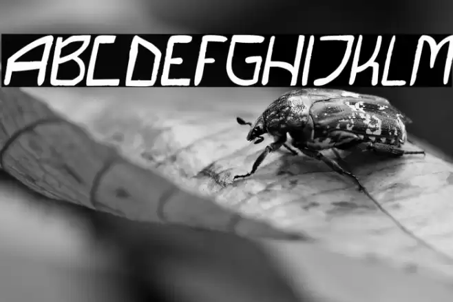 DIY Saiba Italic Font examples