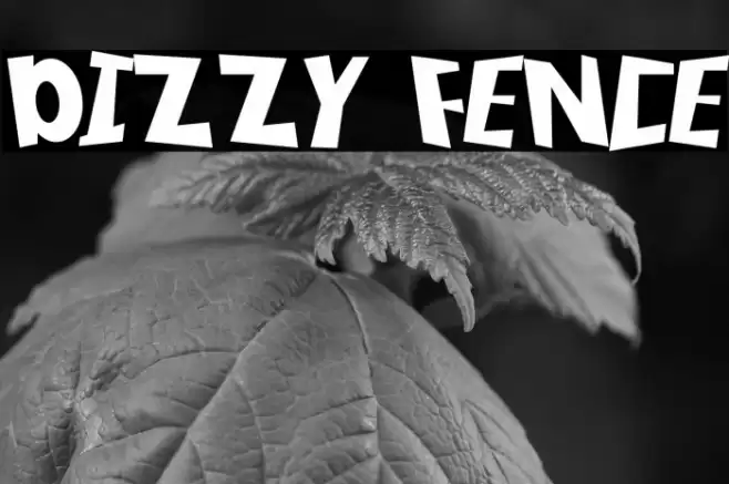 DIZZY FENCE Font examples