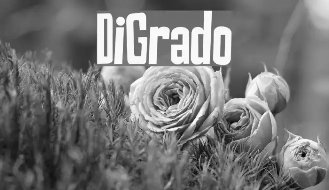 DiGrado Example 3