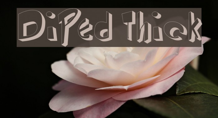 DiPed Thick Font examples