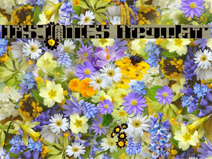 DiSJAMES Regular Font examples