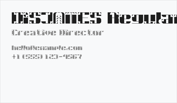 DiSJAMES Regular Business Card