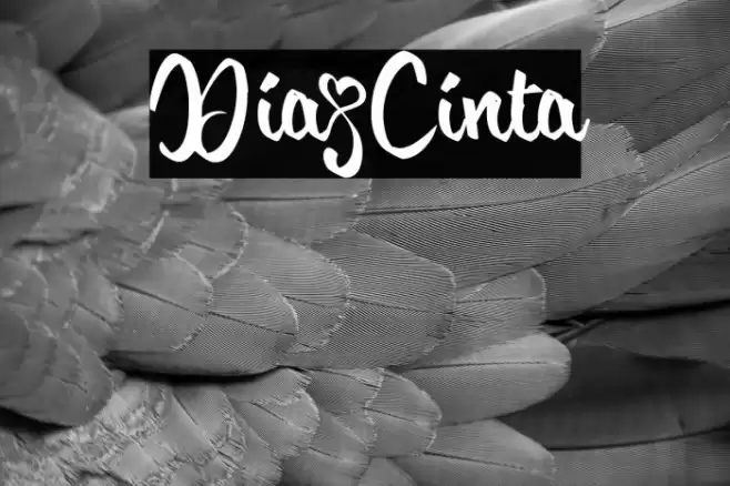 Dia_Cinta Font examples