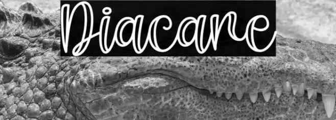 Diacare Font examples