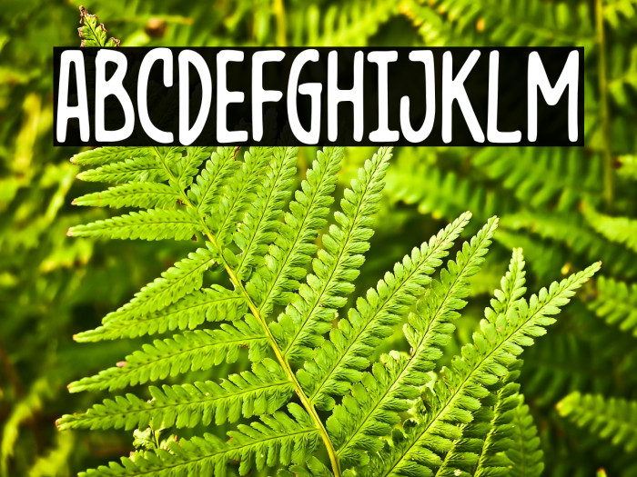 DiagakureDemo Example 1