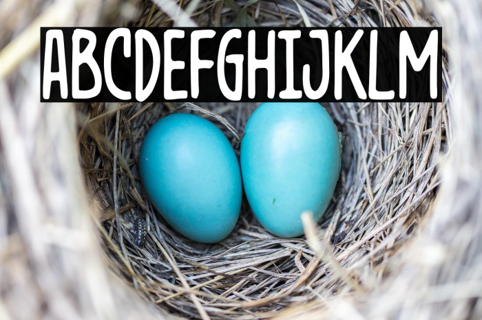 DiagakureDemo Example 2