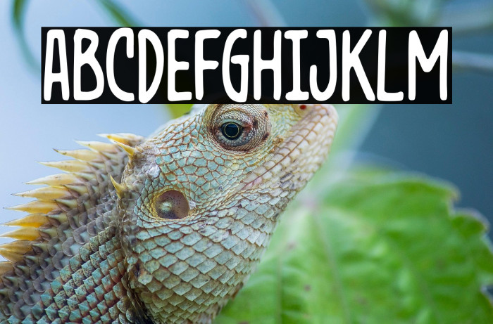 DiagakureDemo Example 3