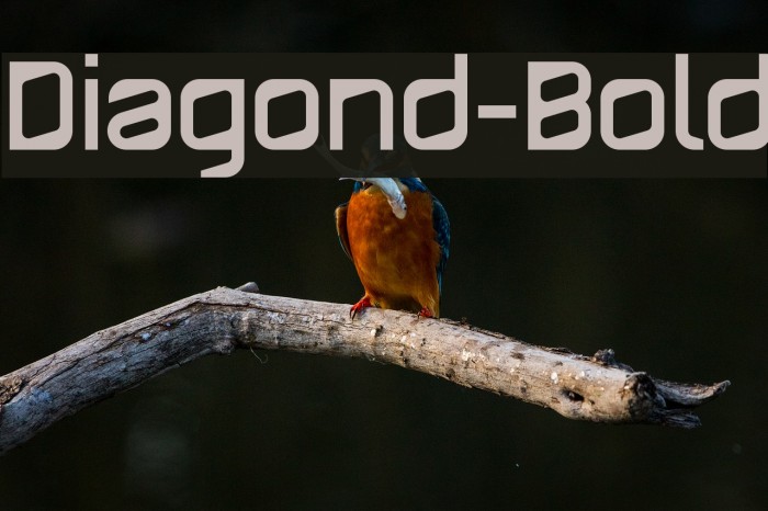 Diagond-Bold Font examples