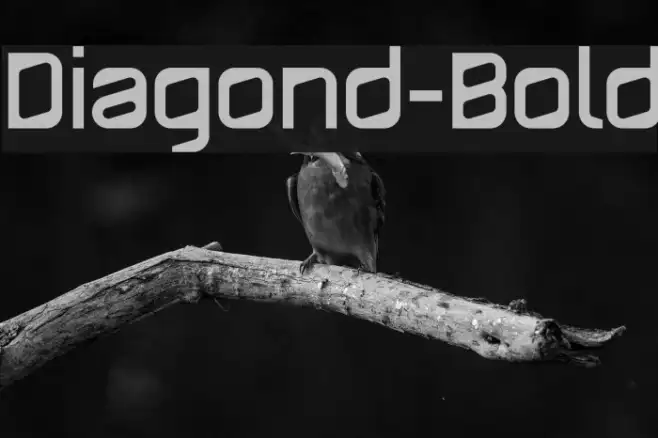 Diagond-Bold Example 2