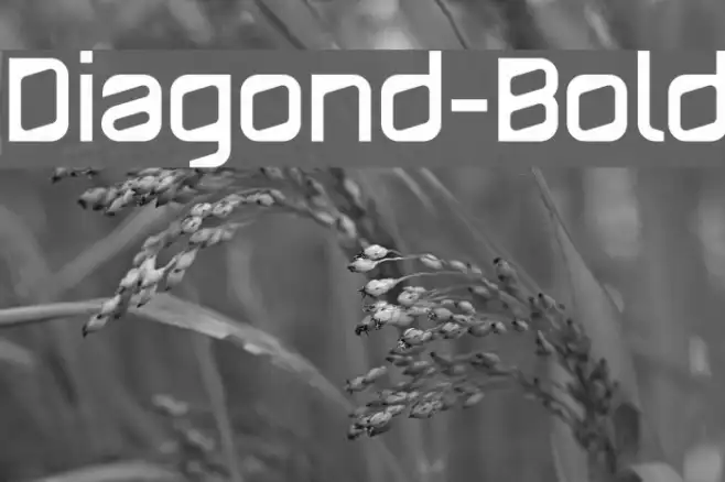 Diagond-Bold Example 3