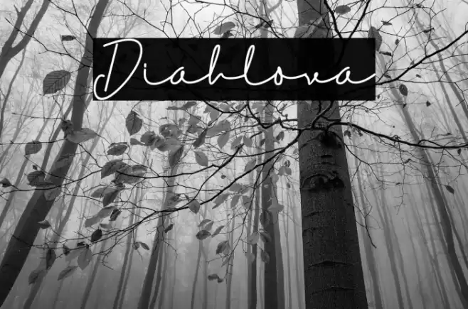 Diahlova Font examples