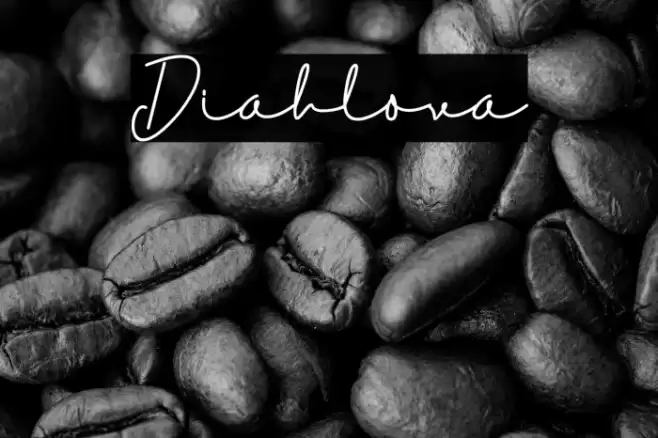 Diahlova Font examples