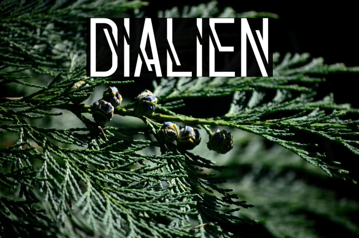 Dialien Example 2