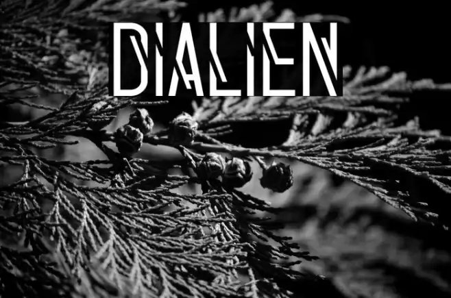 Dialien Example 2