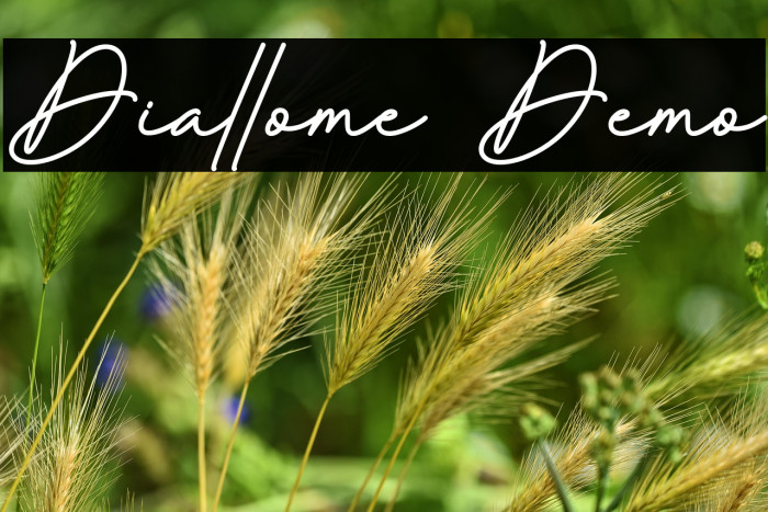 Diallome Demo Example 1