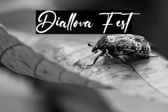 Diallova Fest Font examples