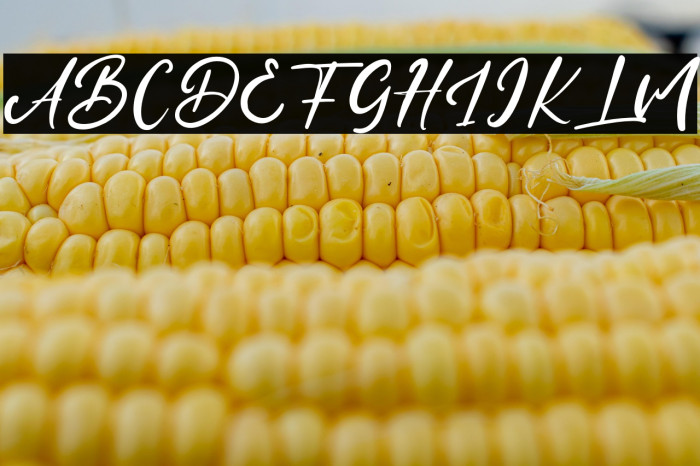 DiallovaFest Example 2