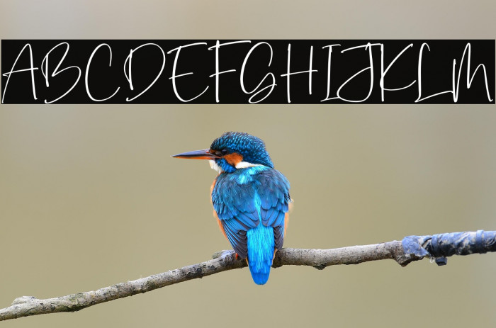 Dialog Sheila Example 1