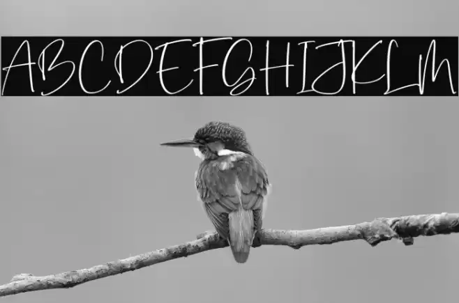 Dialog Sheila फ़ॉन्ट examples