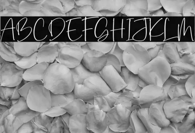 Dialog Sheila फ़ॉन्ट examples