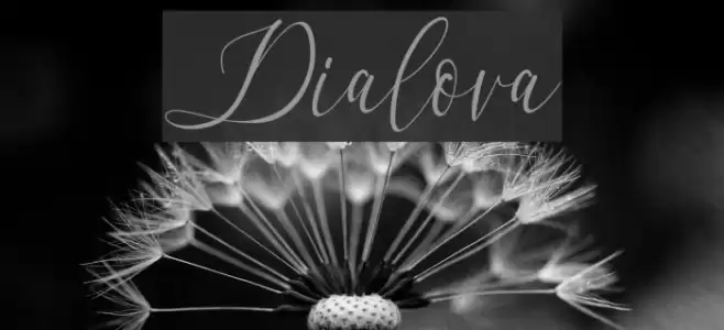 Dialova Font examples