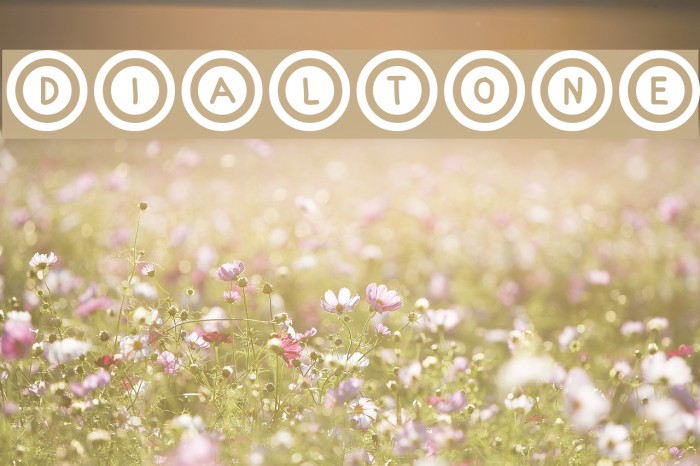 Dialtone Font examples