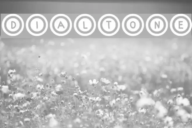 Dialtone Example 1