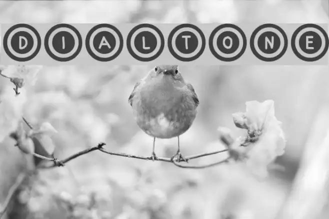 Dialtone Example 2