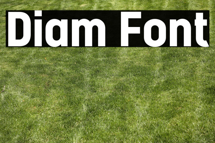 Diam Example 2