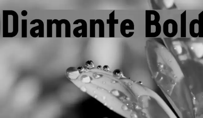 Diamante Bold Font examples