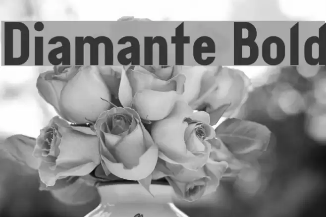 Diamante Bold Font examples