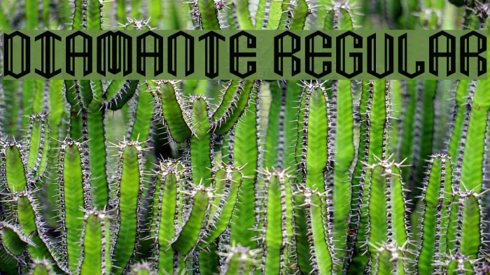 Diamante Regular Example 3