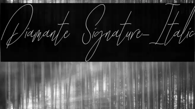 Diamante Signature_Italic Font examples